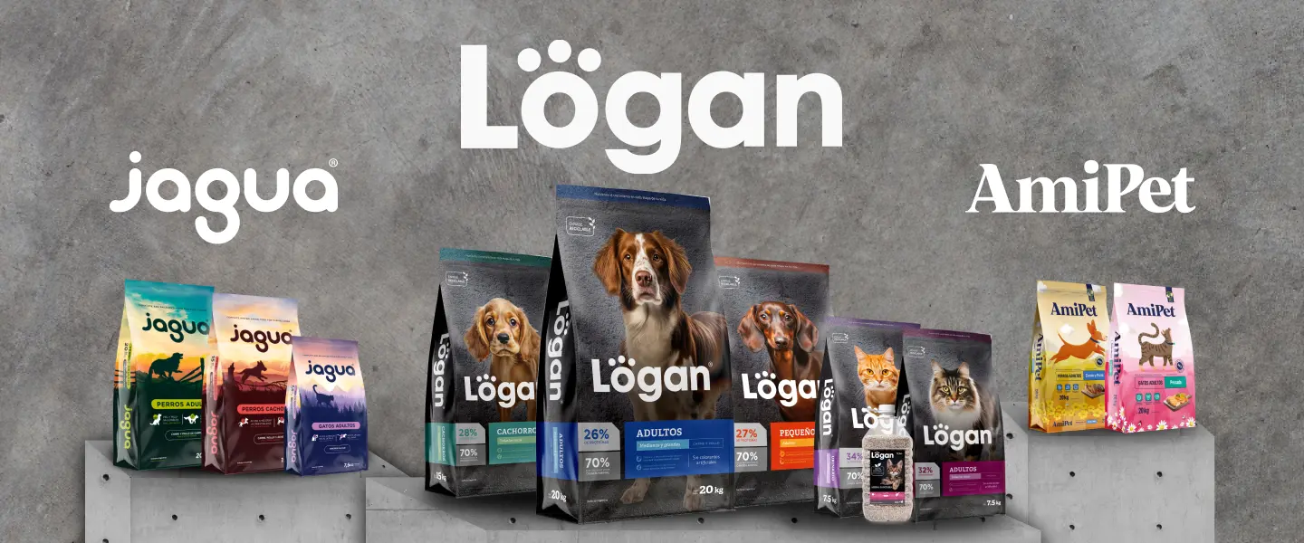 Banner Familia Logan